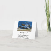 Zeemeeuw op Strand, de Lege Kaart van de Nota (Achterkant)