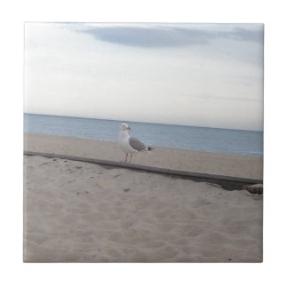 Zeemeeuw op strand tegeltje