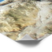 zeemeeuw poster (Hoek)