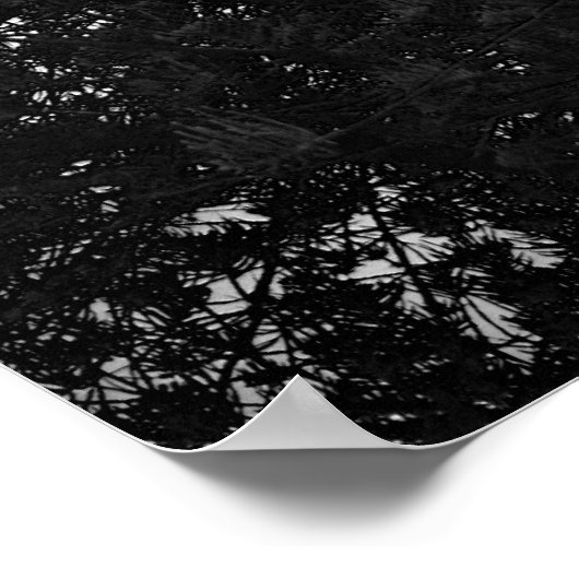 zeemeeuw poster (Hoek)