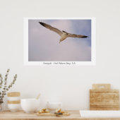 zeemeeuw poster (Keuken)