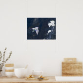 Zeemeeuw Poster 4 (Keuken)