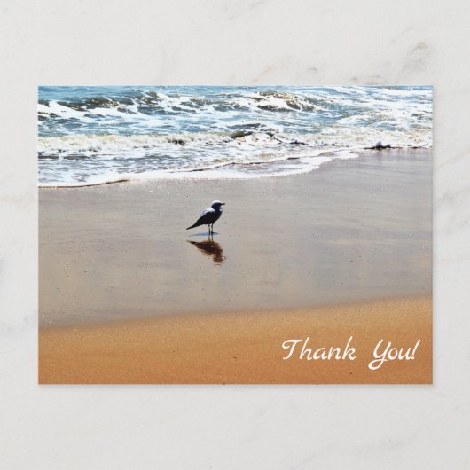 Zeemeeuw Reflectie, Zand en Ocean Beach Bedankt Briefkaart (Voorkant)