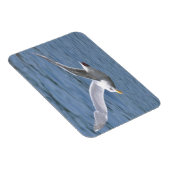 Zeemeeuw Ruwen over water Magneet (Rechterzijde)