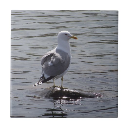 zeemeeuw tegeltje (Voorkant)