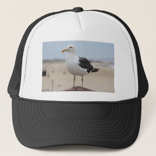 zeemeeuw trucker pet (Voorkant)