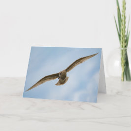 Zeemeeuw - Vogel in vlucht Bedankt Card