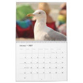 Zeemeeuwen 2026 kalender (Jan 2027)