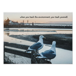 Zeemeeuwen bij de baai foto afdruk