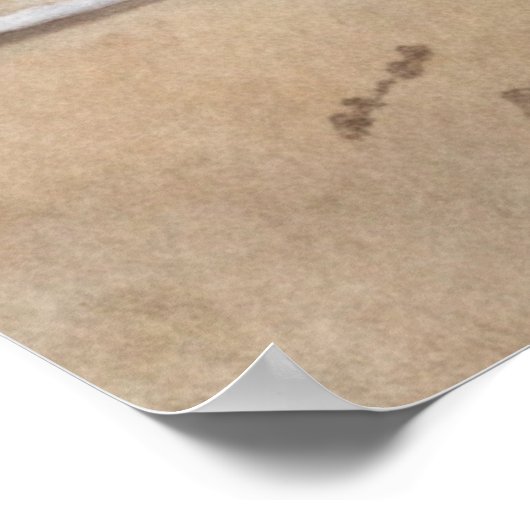 Zeemeeuwen die op een strand vliegen poster (Hoek)