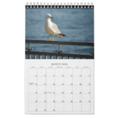 Zeemeeuwen en Strandvogellandschap Fotokalender Kalender (Mar 2026)