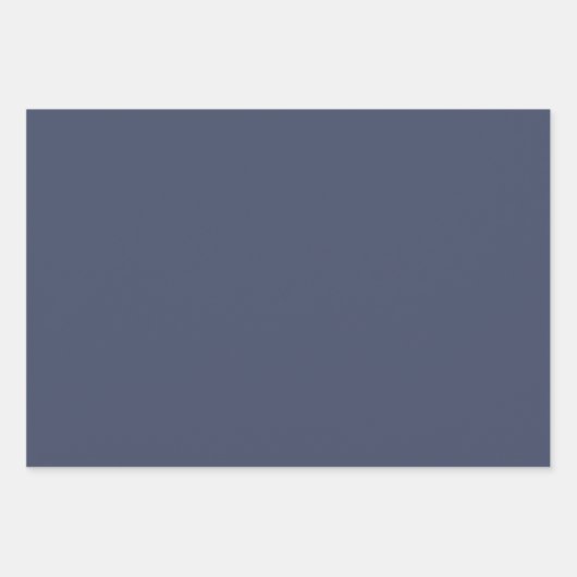 Zeemeeuwen en zeesterren Gold Stars Nautical Inpakpapier Vel (Voorkant 3)