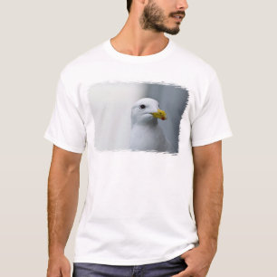 Zeemeeuwen hebben ook liefde nodig t-shirt