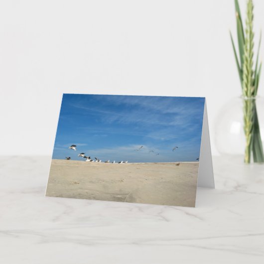 Zeemeeuwen op het strand Verjaardag Kaart w Bijbel (Voorkant)