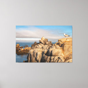 Zeemeeuwen op Rocky Coastline Canvas Afdruk