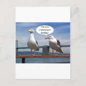 Zeemeeuwen praten briefkaart (Voorkant)