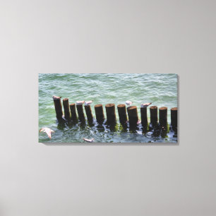 Zeemeeuwen Rust op Pilings Canvas Print