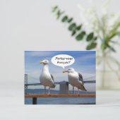 Zeemeeuwen spreken Frans Briefkaart (Staand voorkant)