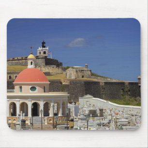 Zeemerkhof van Puerto Rico Muismat