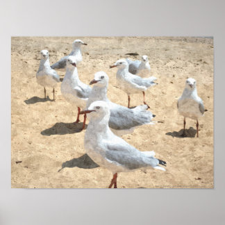 Zeemijlen door de kust poster