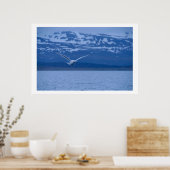 zeemleder de Noorse vlucht naar het Poster van de (Keuken)