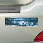 Zeeotter Bumpersticker (Op auto)