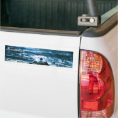 Zeeotter Bumpersticker (Op Truck)