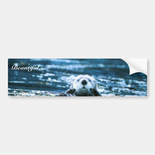 Zeeotter Bumpersticker (Voorkant)