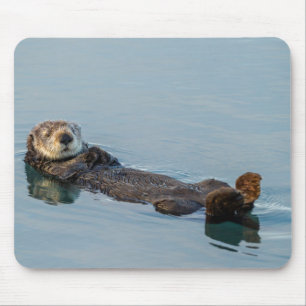 Zeeotter drijvend op rug in oceaan muismat