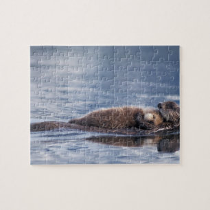 zeeotter, Enhydra lutris lutris Legpuzzel