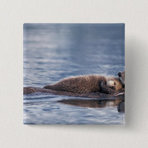 zeeotter, Enhydra lutris lutris Vierkante Button 5,1 Cm