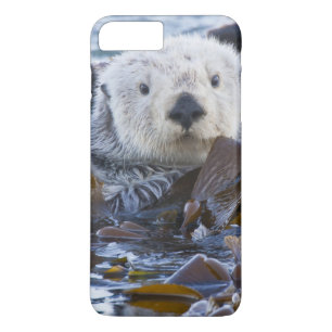 Zeeotter gewikkeld in kelp iPhone 8 plus / 7 plus hoesje