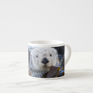 Zeeotter gewikkeld in kelp espresso kop