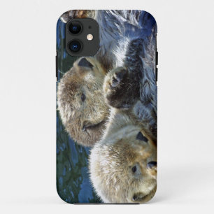 Zeeotters iPhone 11 Hoesje