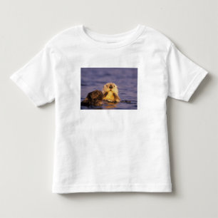 Zeeotters, Enhydra lutris 5 Kinder Shirts