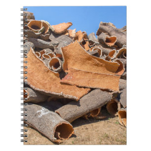 Zeep van kurkboomschors als grondstof.JPG Notitieboek