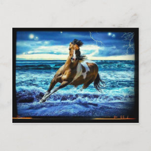 Zeepaard Briefkaart