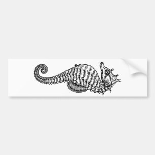 Zeepaard Bumpersticker