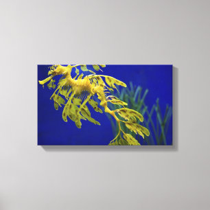 Zeepaard Canvas Afdruk