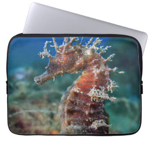 Zeepaard Hippocampus Ramulosus Laptop Sleeve