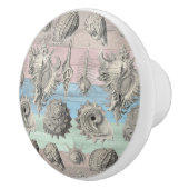 Zeepaardhout nautische strand schelpen blauwe perz keramische knop (Rechts)