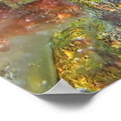 Zeepaardje op koraal poster (Hoek)