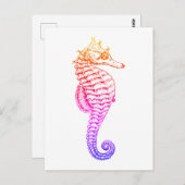 Zeepaardje,  zee dierillustratie briefkaart (Voorkant / Achterkant)