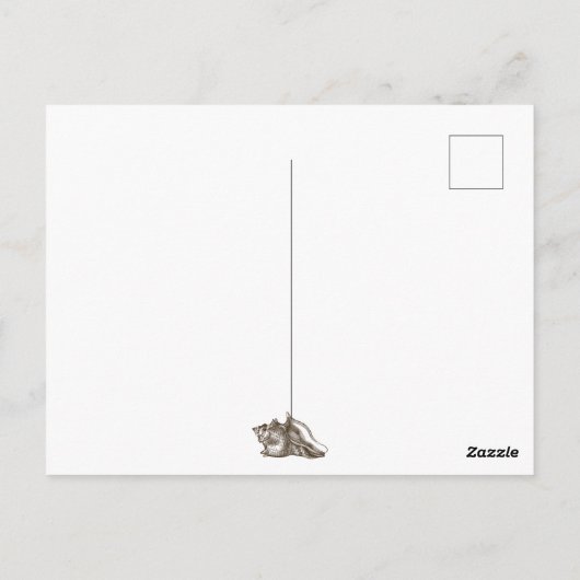 zeepaardjes en Conch Shell Beach Dank u Briefkaart (Achterkant)