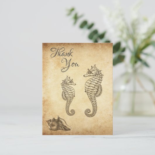 zeepaardjes en Conch Shell Beach Dank u Briefkaart (Staand voorkant)