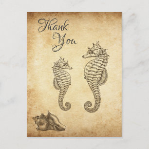 zeepaardjes en Conch Shell Beach Dank u Briefkaart