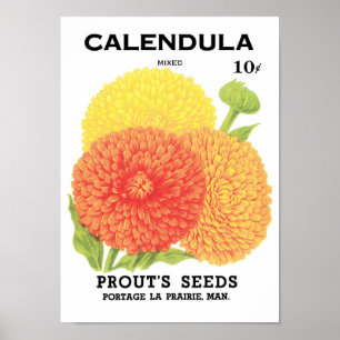zeepakketlabel kunst, kalendula-bloemen poster