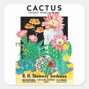  zeepakketlabel Kunstwoestijncactus Planten Vierkante Sticker