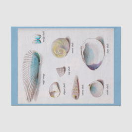 Zeeplanken Natuurlijke pasta's van 10 x 15 inch Pa Tissuepapier