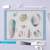 Zeeplanken Natuurlijke pasta's van 10 x 15 inch Pa Tissuepapier (Craft)